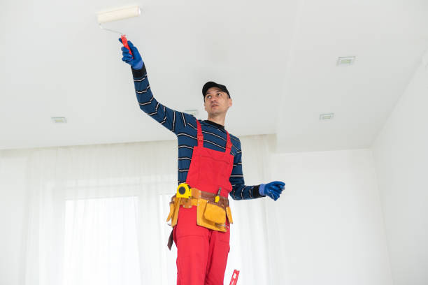 Trusted Ware Shoals, SC Mold Removal Experts